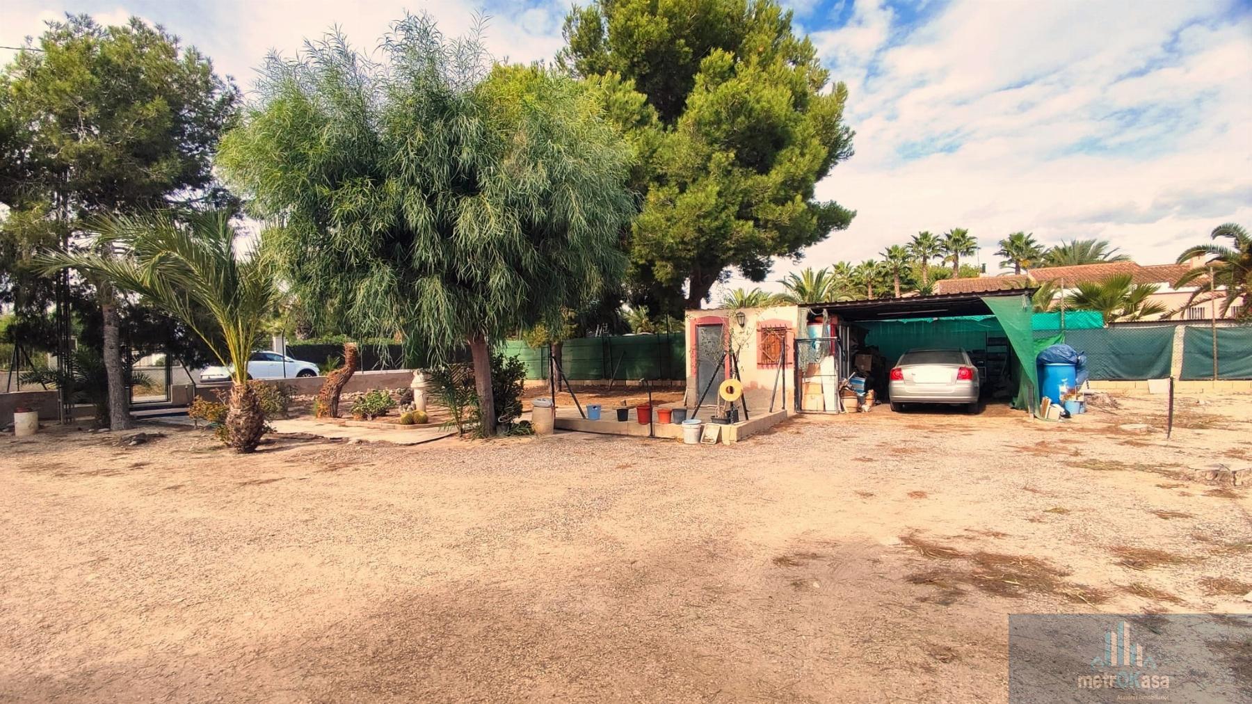 Venta de finca rústica en Elche-Elx