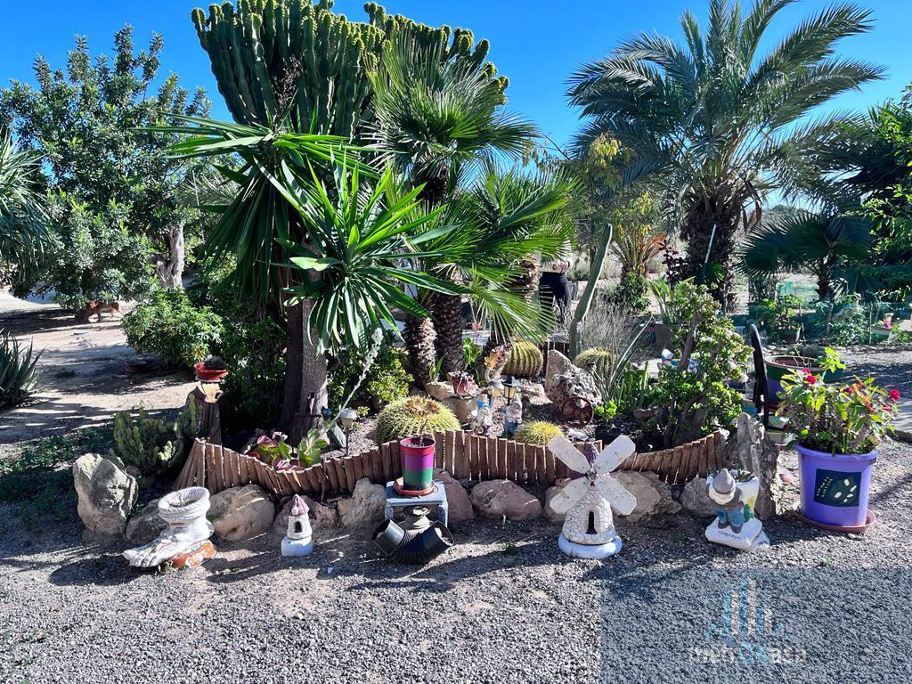 Venta de chalet en Elche-Elx