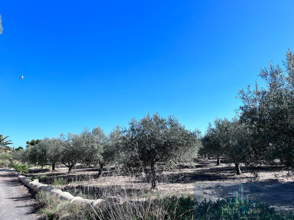 Venta de chalet en Elche-Elx