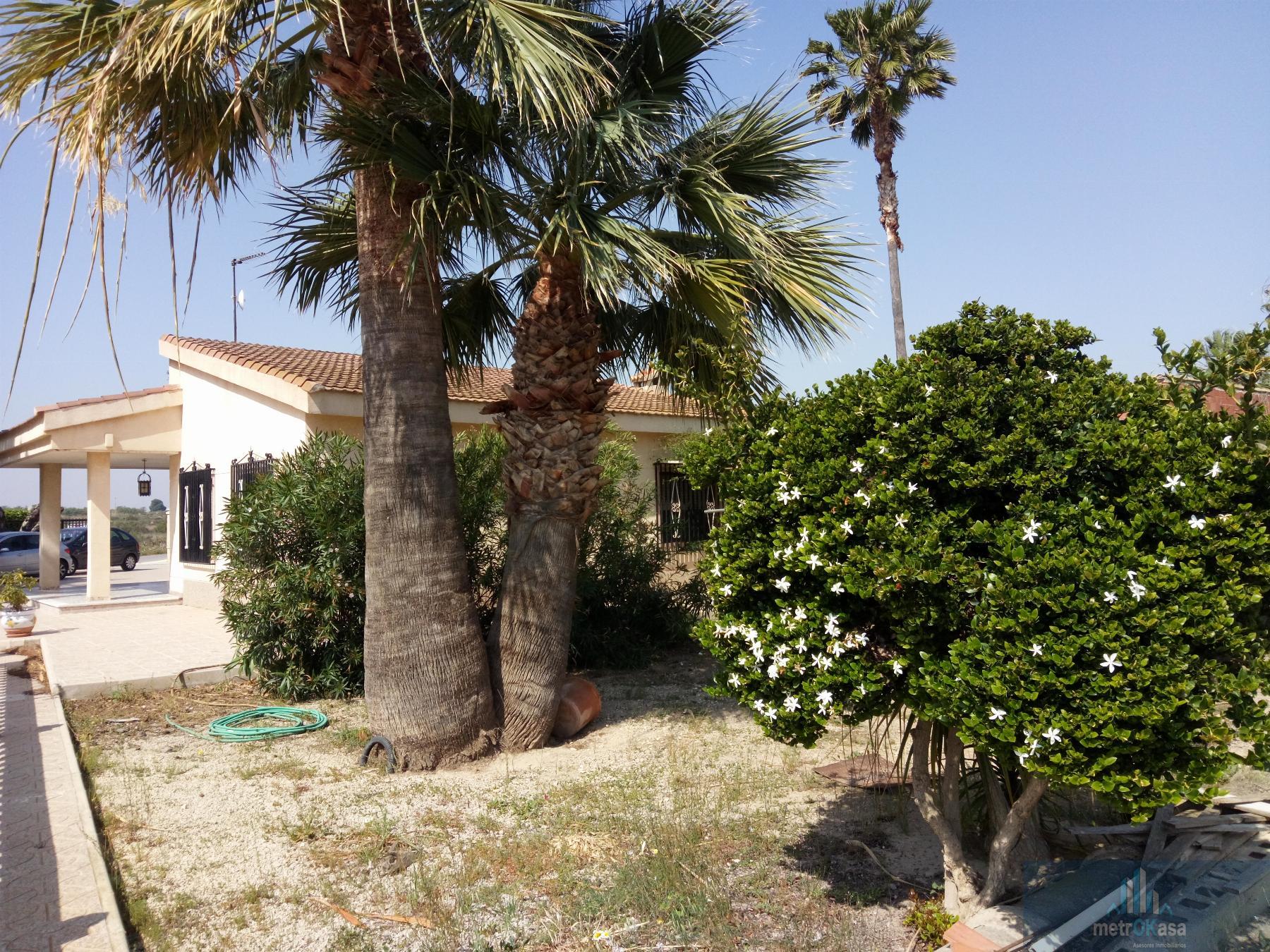 Venta de chalet en Elche-Elx