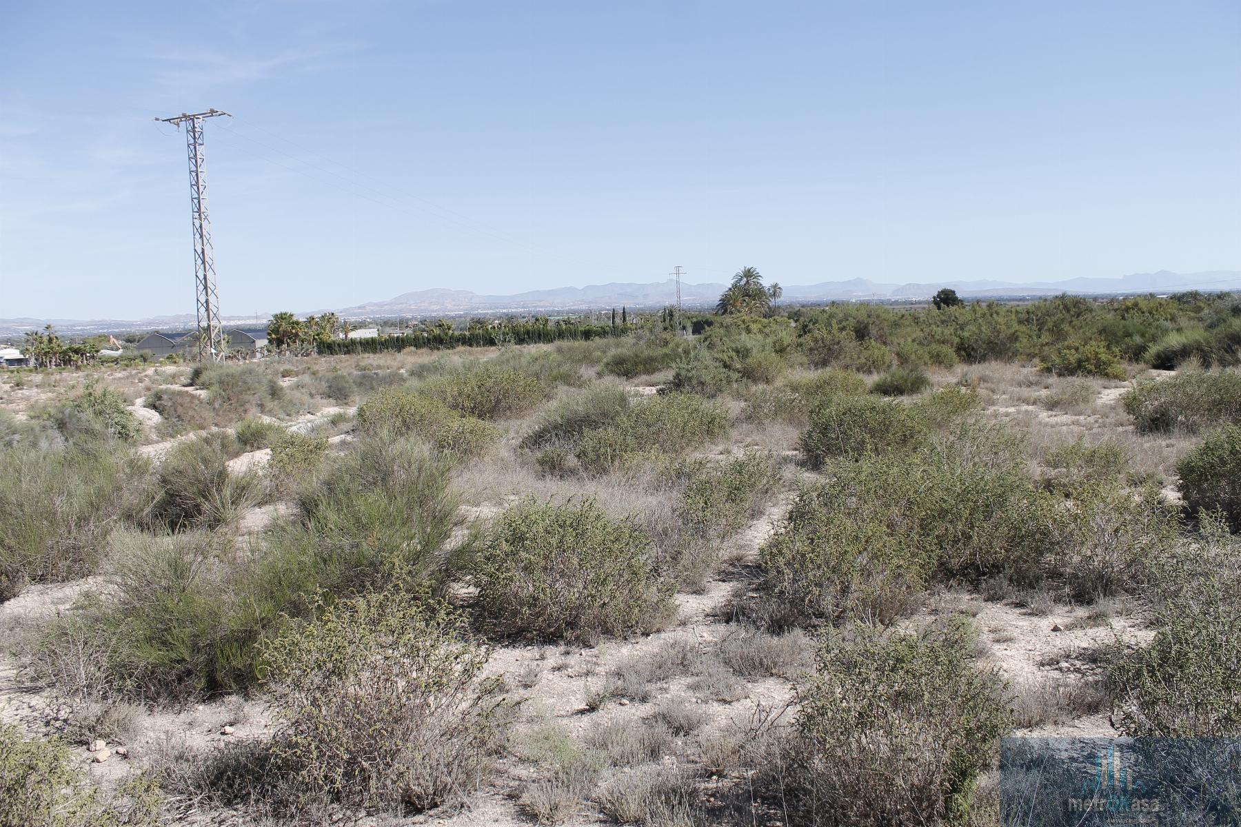 Venta de finca rústica en Elche-Elx