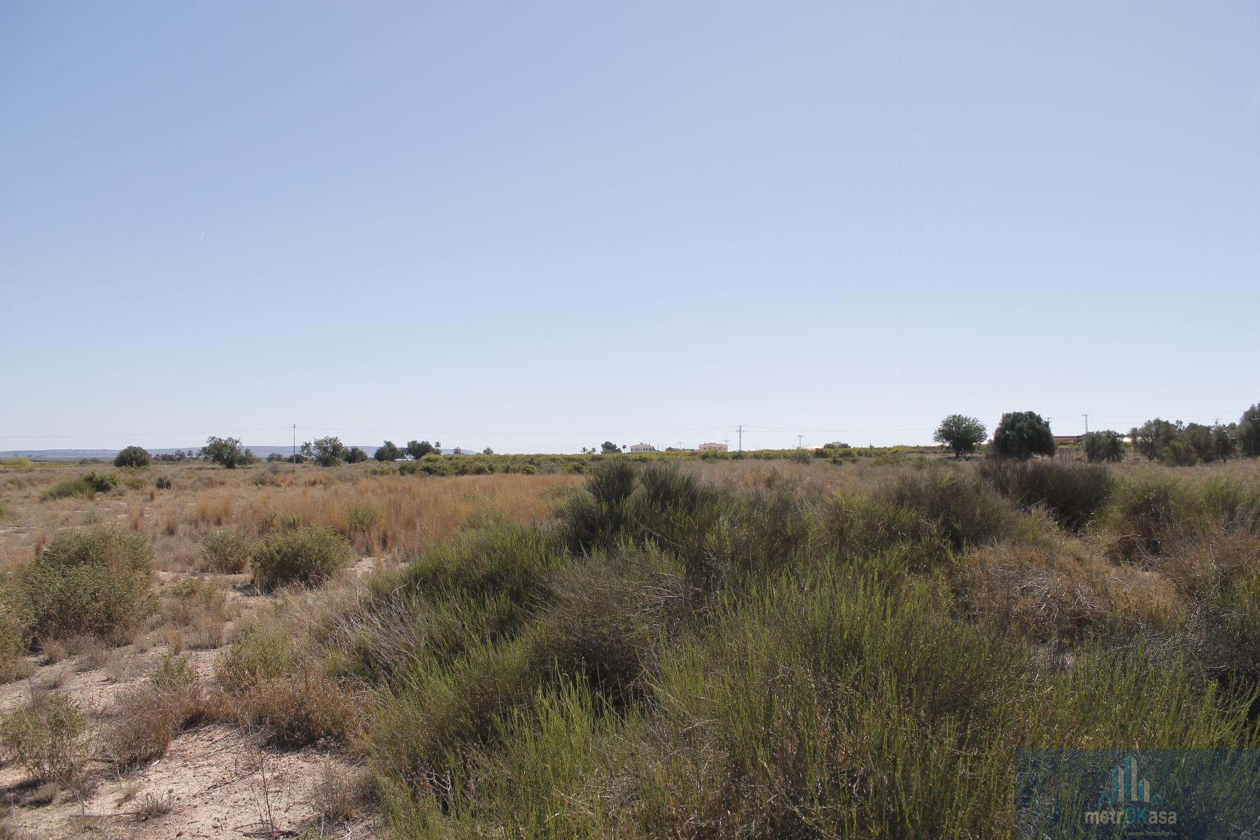 Venta de finca rústica en Elche-Elx