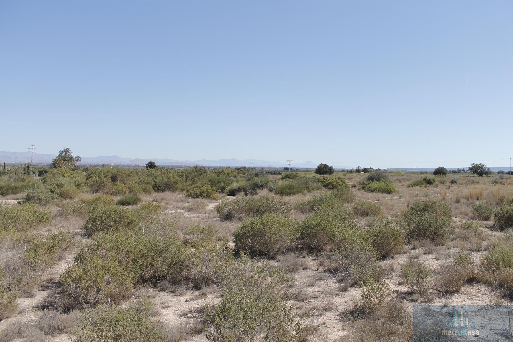 Venta de finca rústica en Elche-Elx