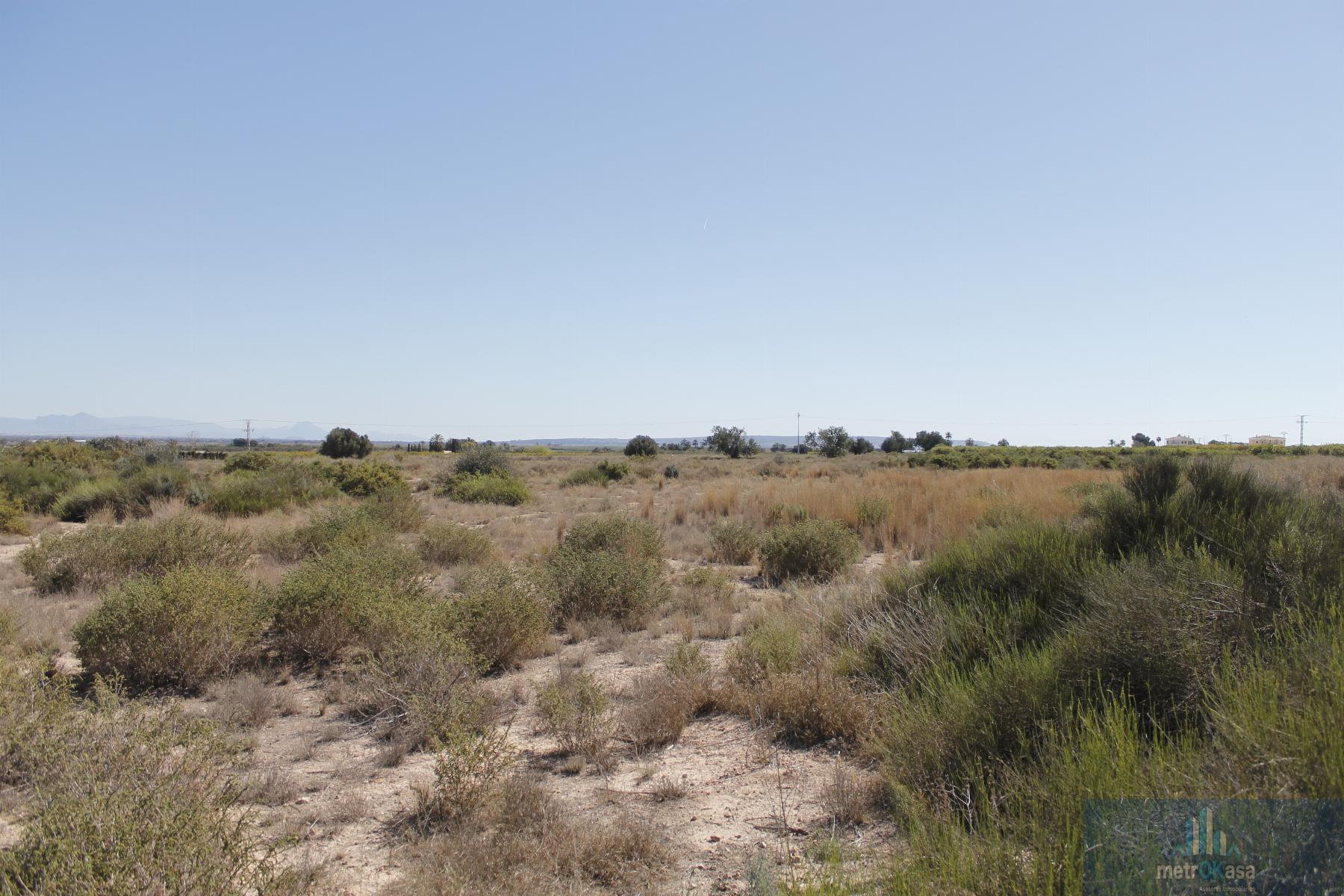 Venta de finca rústica en Elche-Elx