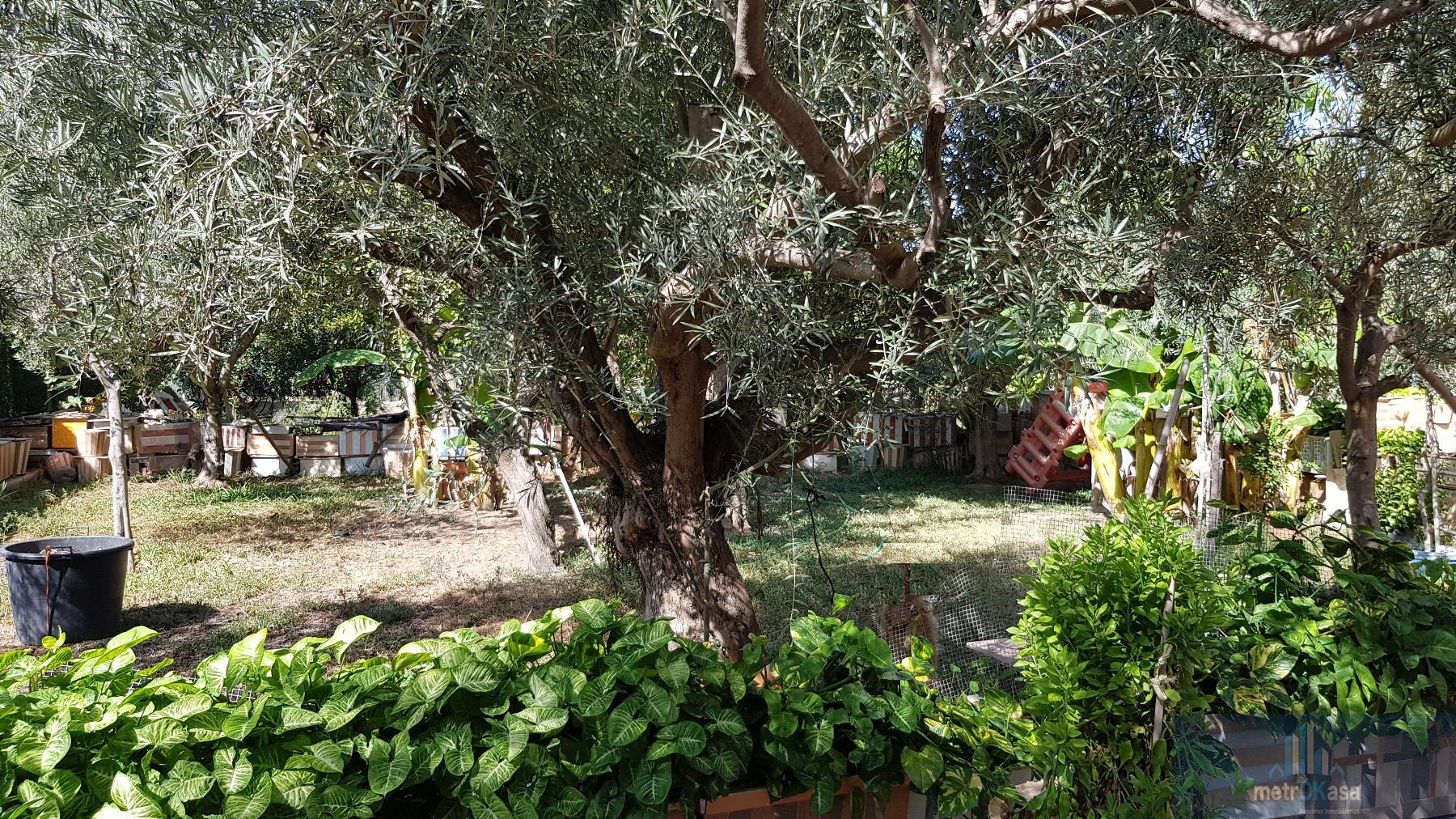 Venta de chalet en Elche-Elx