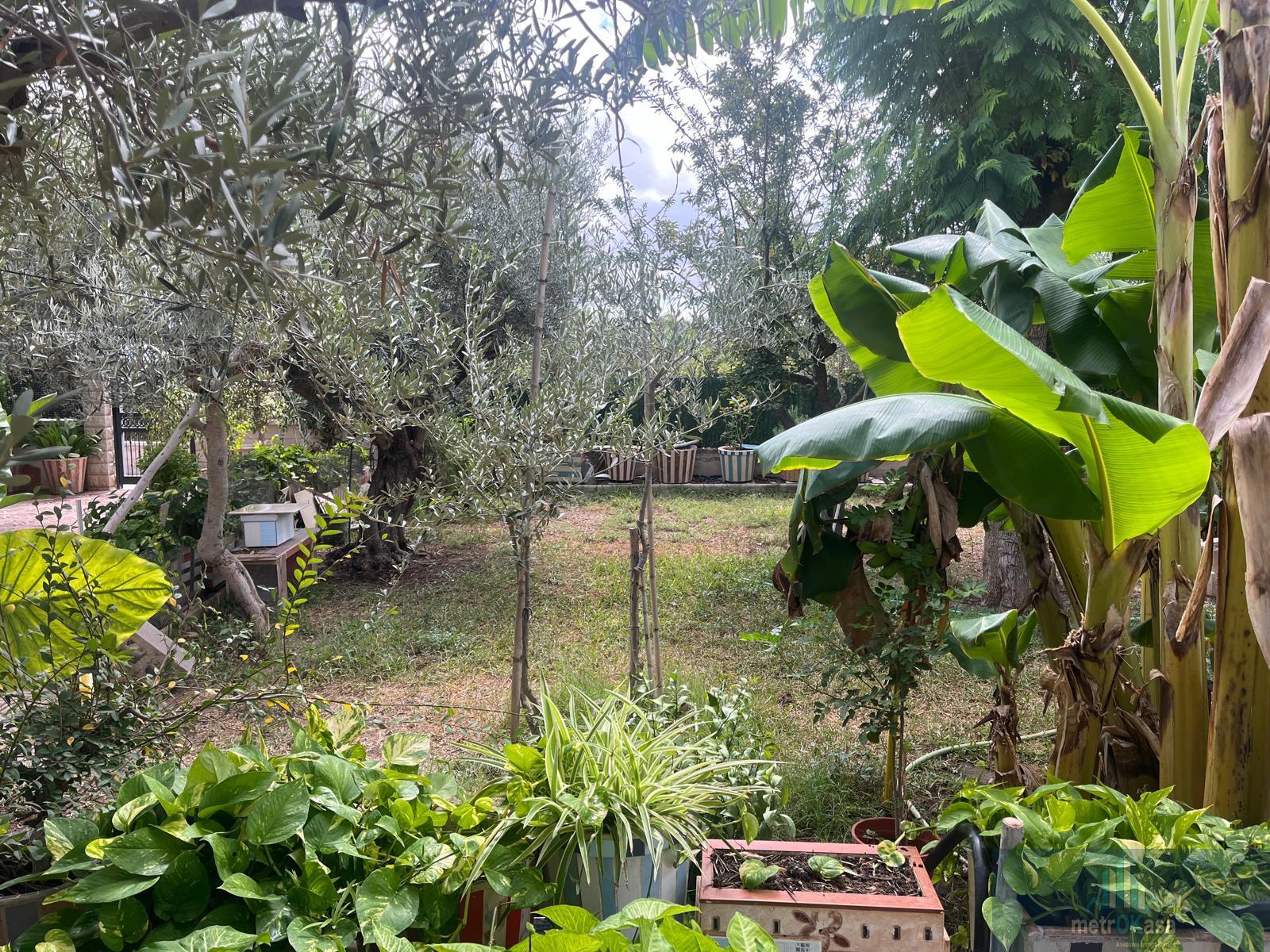 Venta de chalet en Elche-Elx