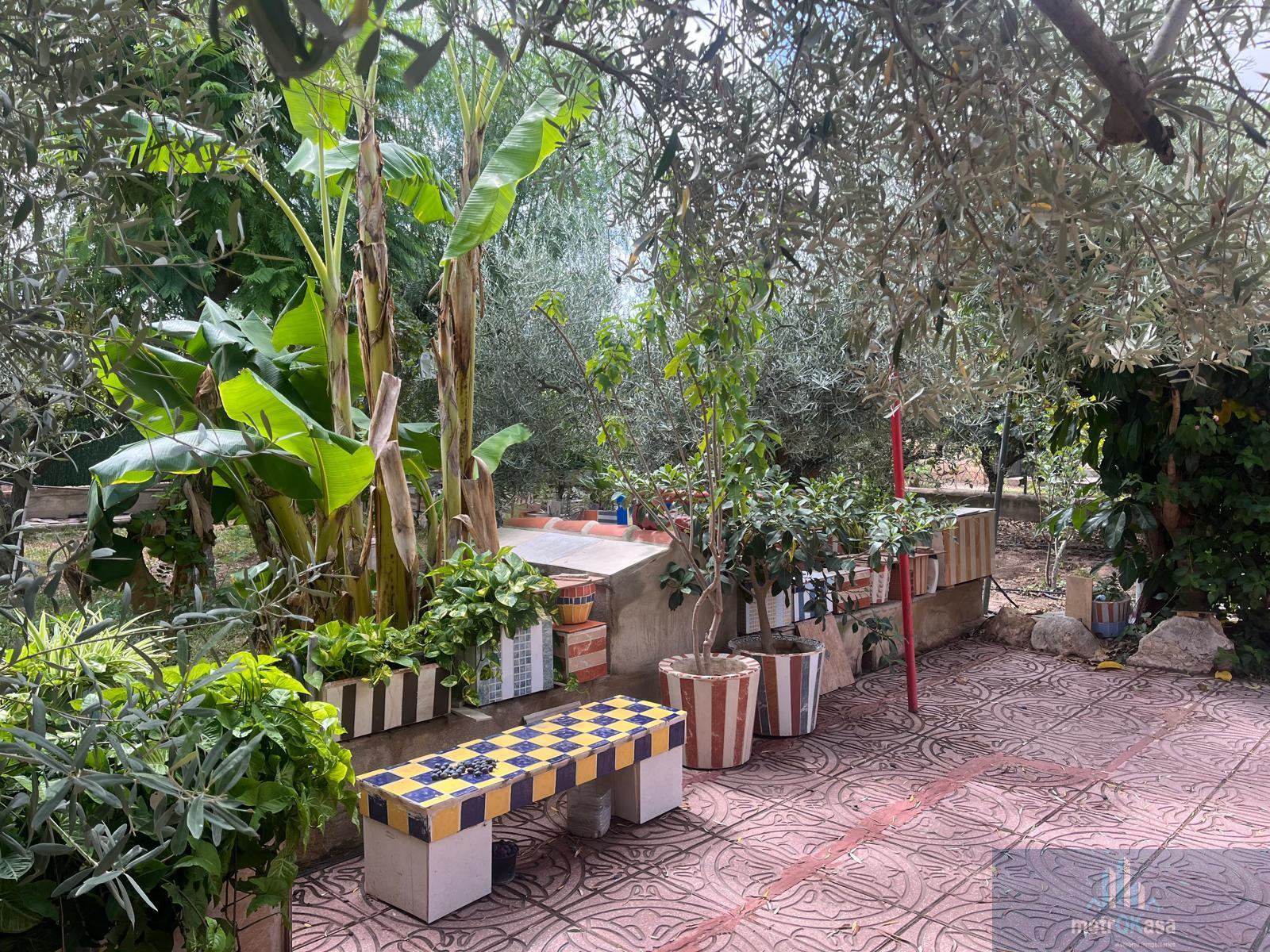 Venta de chalet en Elche-Elx