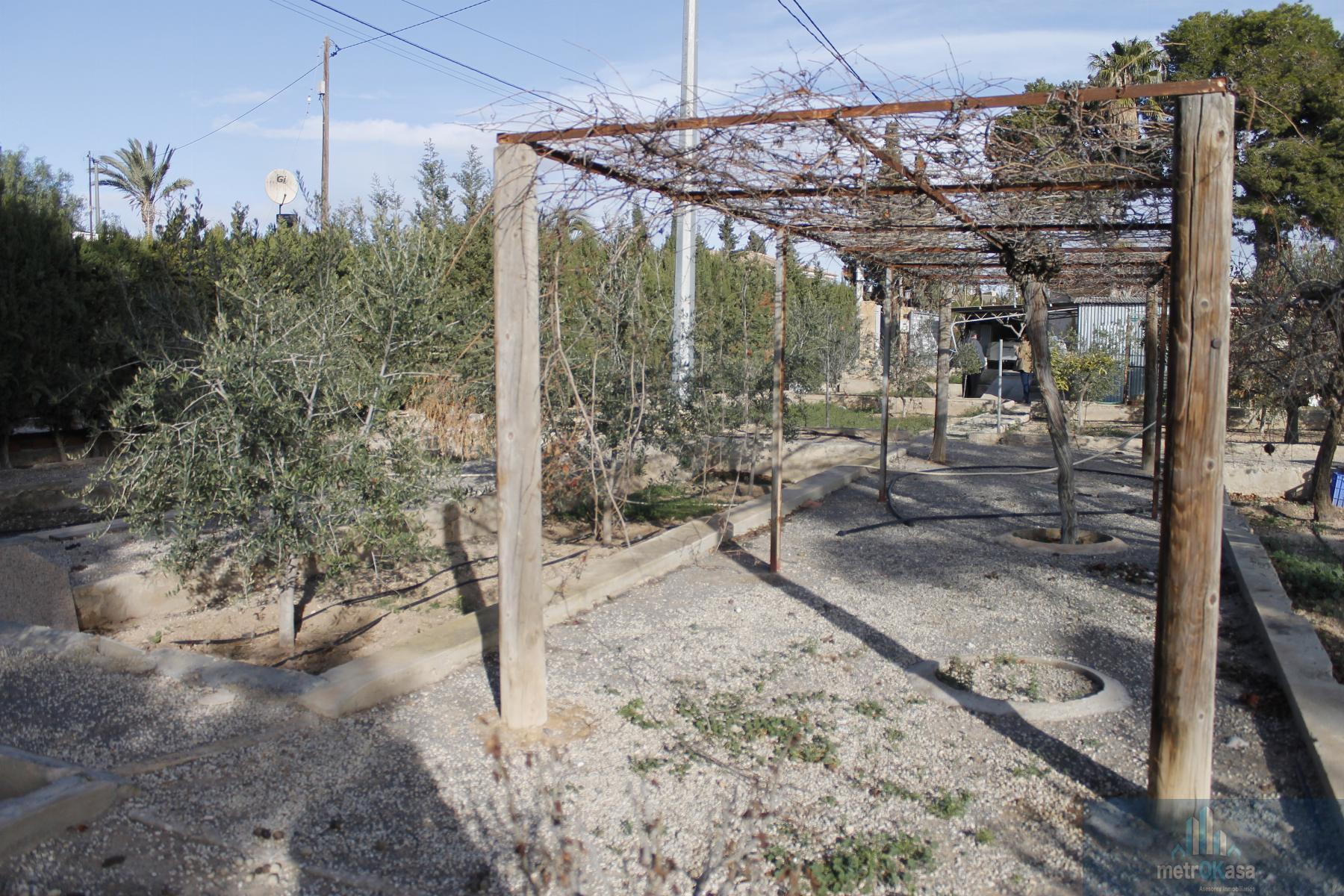 Venta de chalet en Elche-Elx