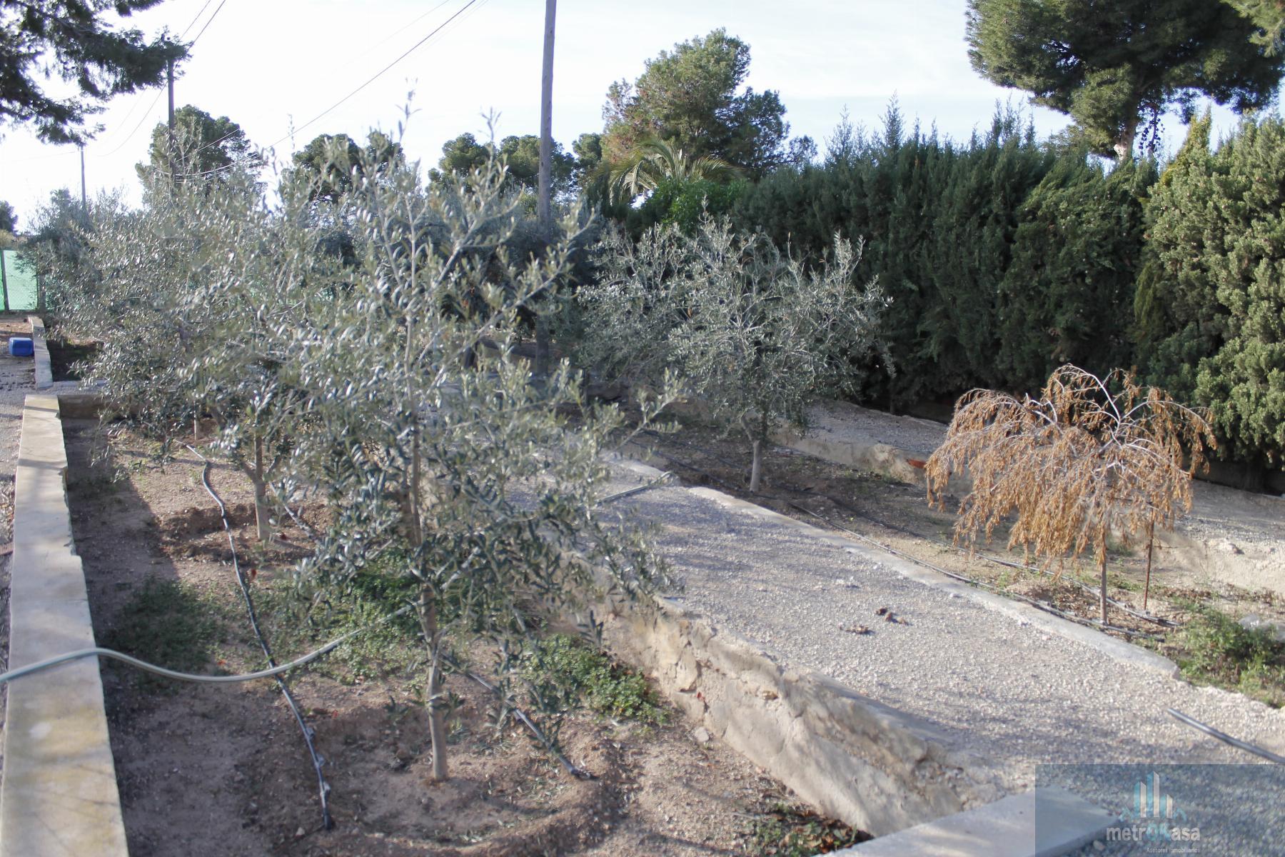 Venta de chalet en Elche-Elx