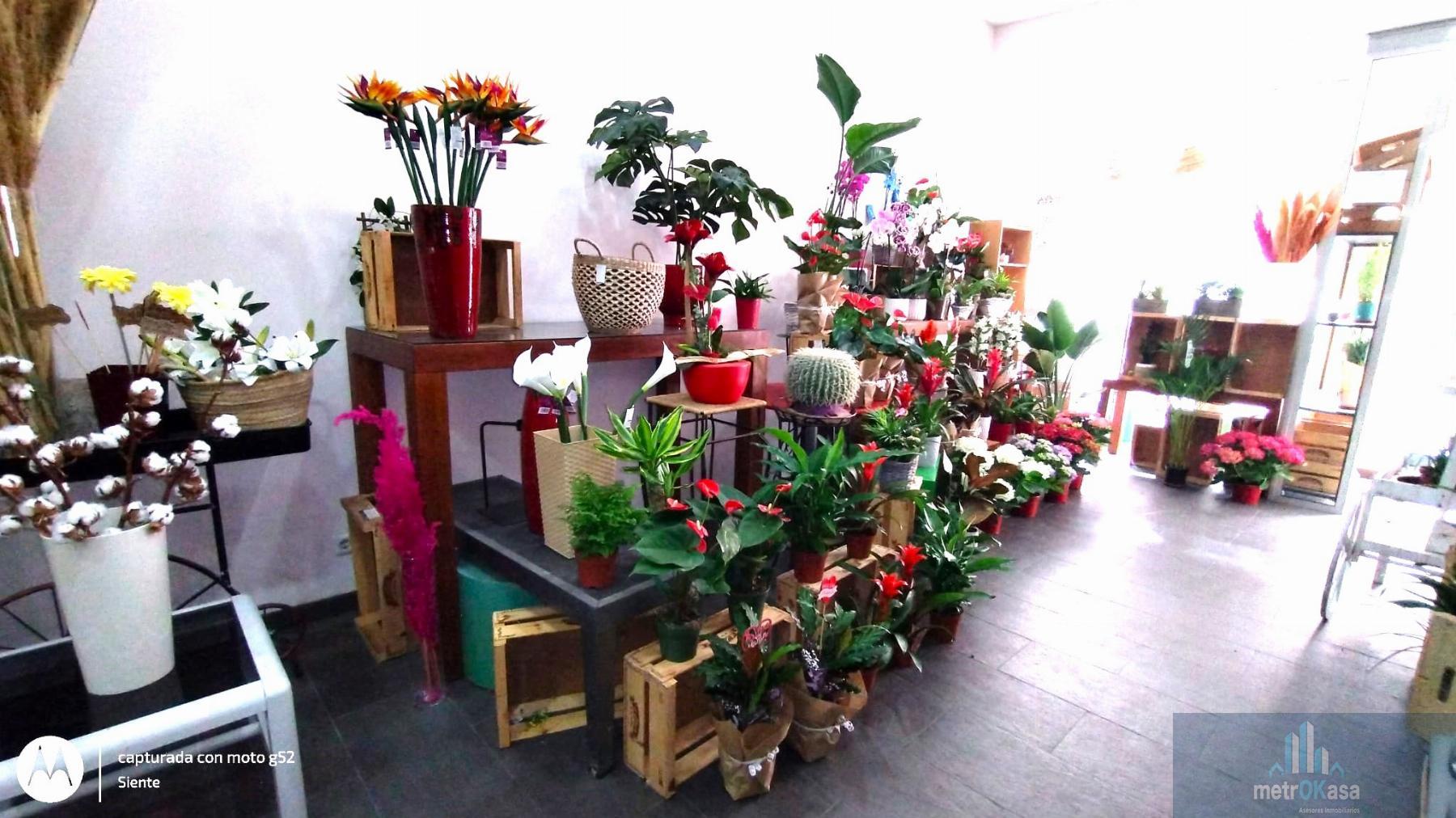 Traspaso de local en Elche-Elx