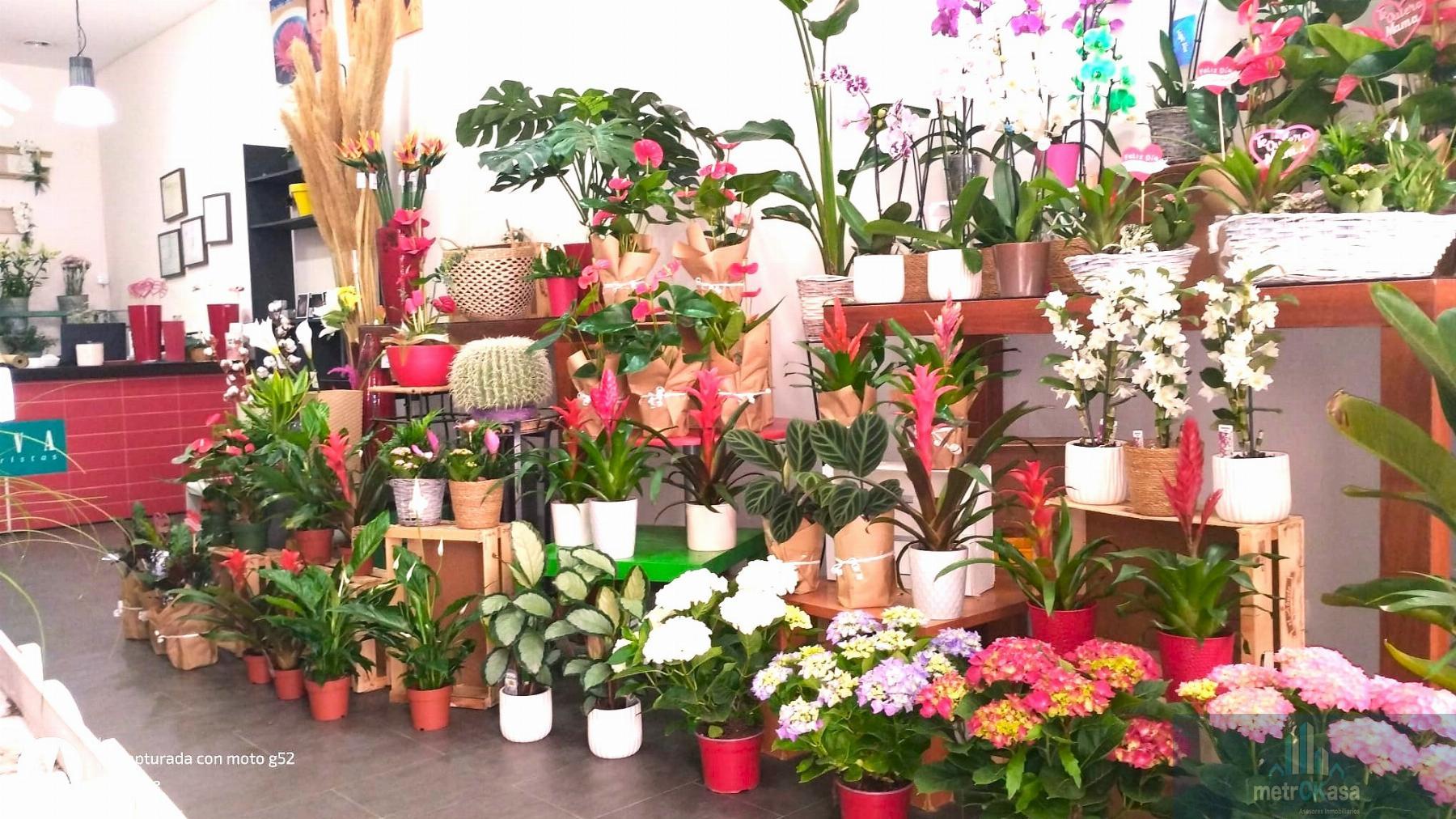 Traspaso de local en Elche-Elx