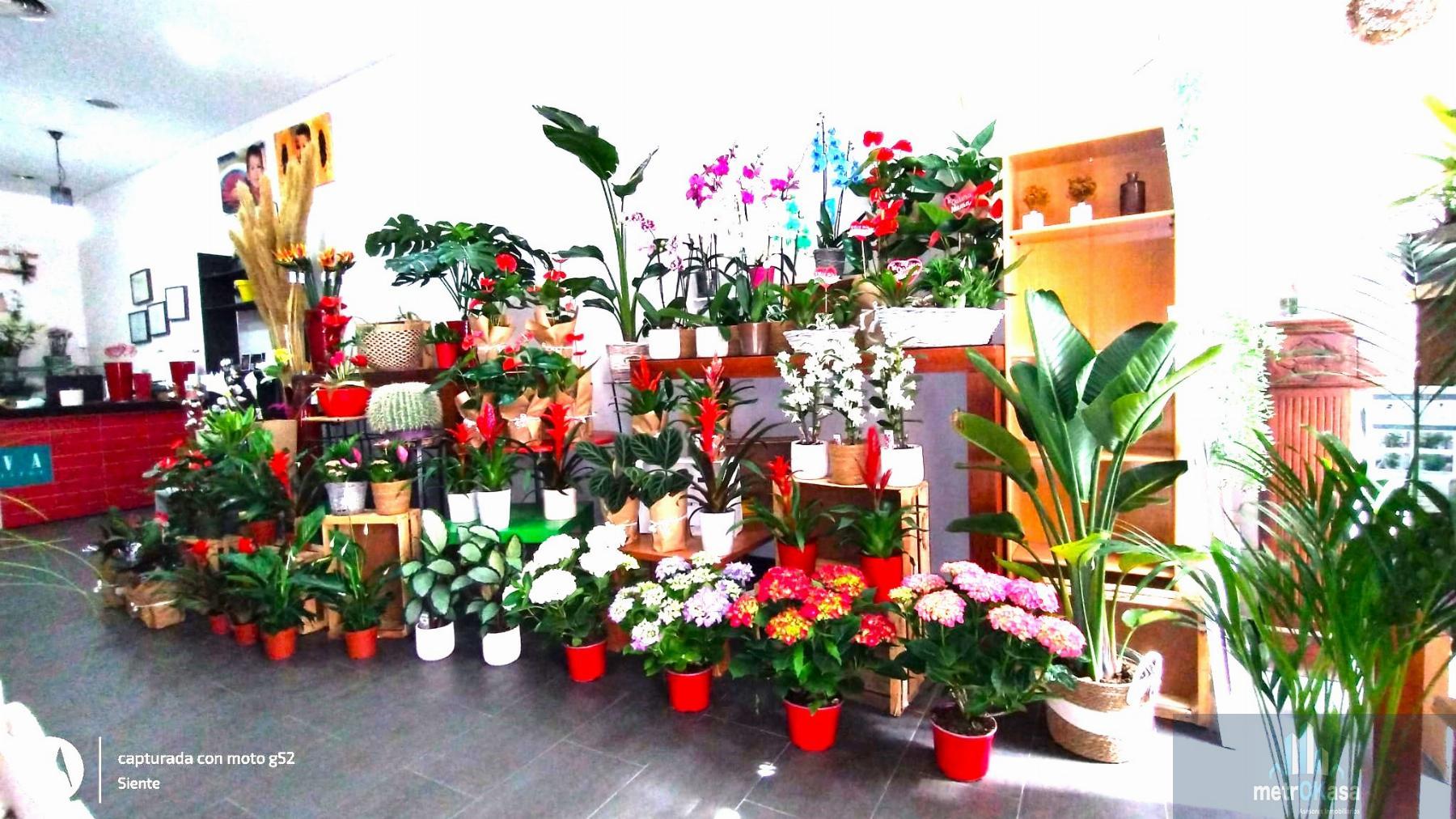 Traspaso de local en Elche-Elx