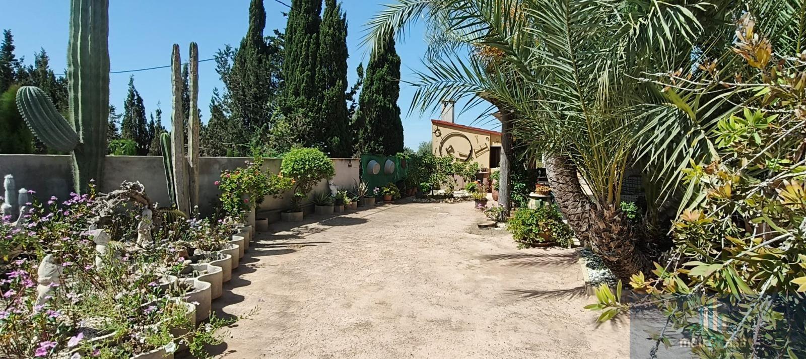 Venta de chalet en Crevillent