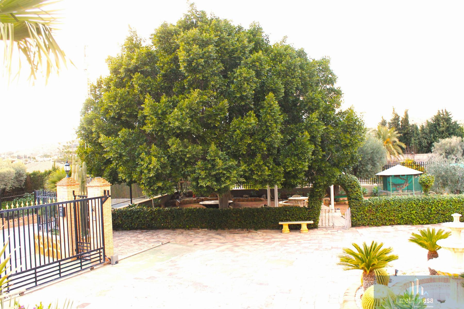 Venta de chalet en Elche-Elx