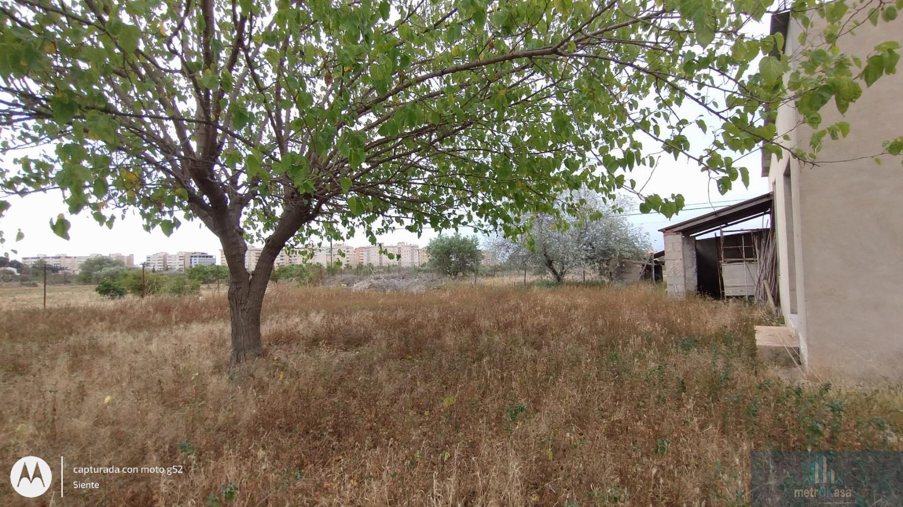 Venta de chalet en Elche-Elx