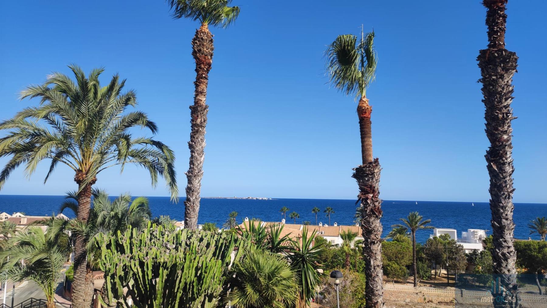 Alquiler de estudio en Santa Pola