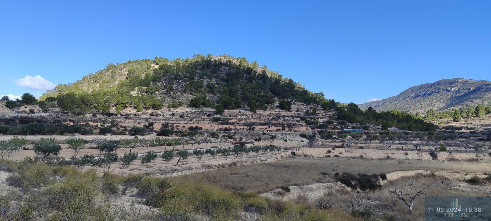 Venta de finca rústica en La Romana