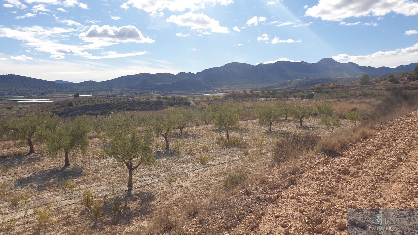 Venta de finca rústica en La Romana
