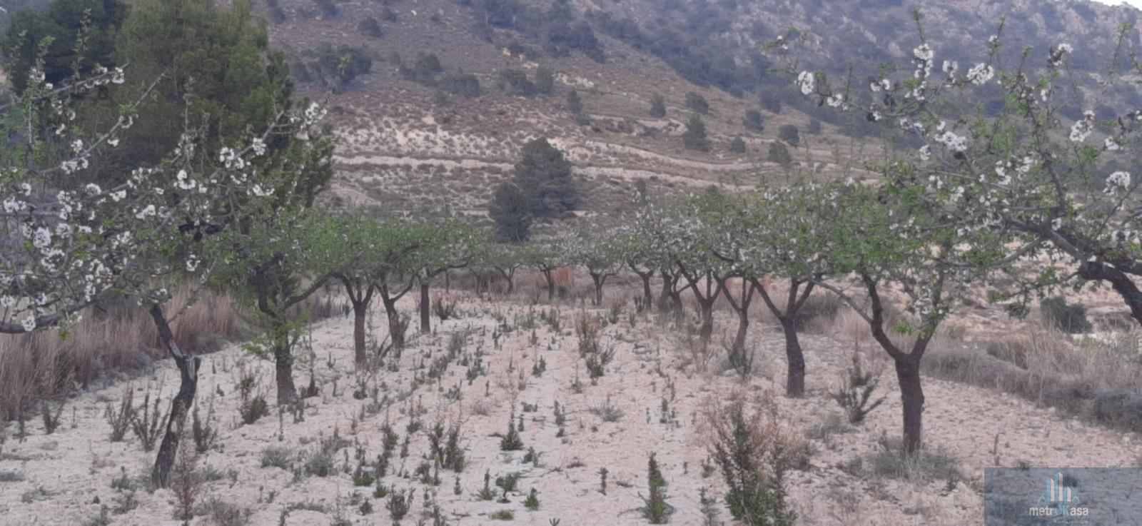 Venta de finca rústica en La Romana