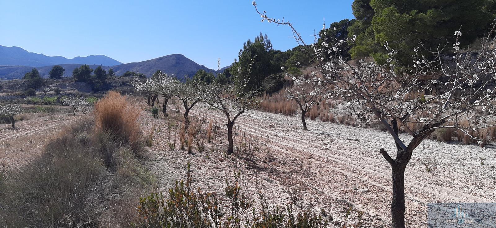 Venta de finca rústica en La Romana