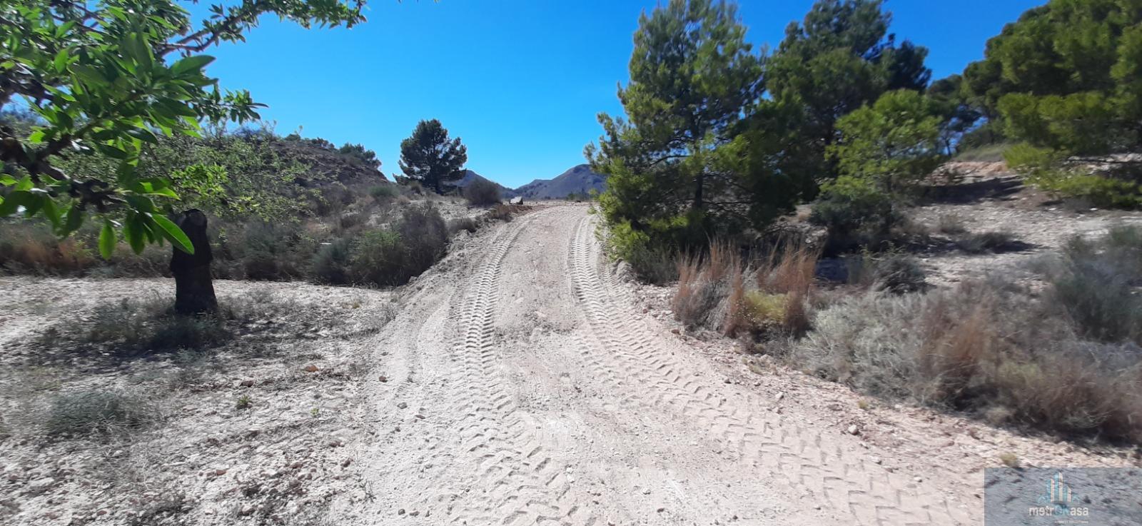 Venta de finca rústica en La Romana