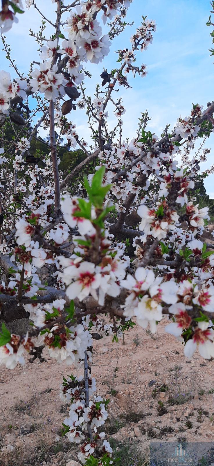 Venta de finca rústica en La Romana