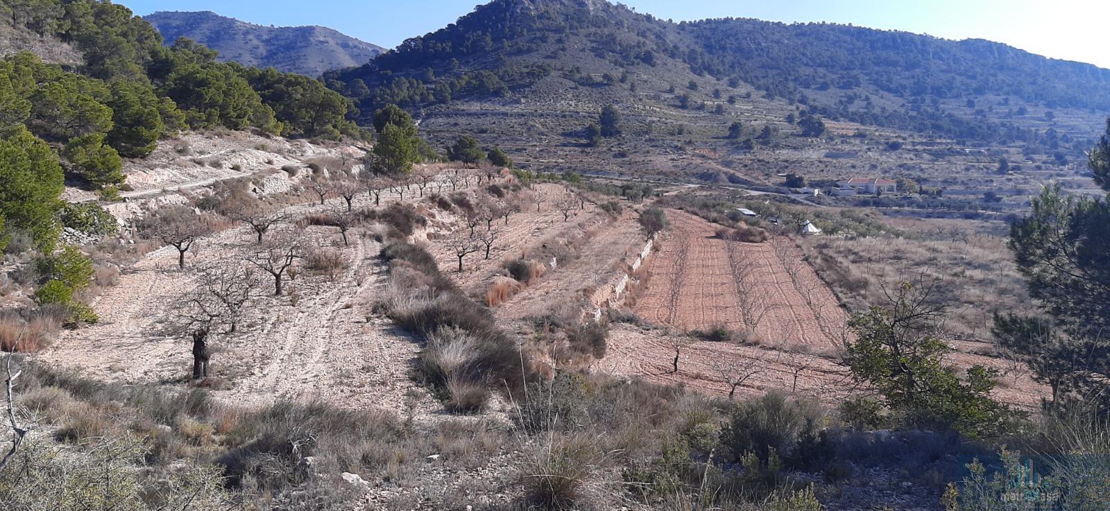 Venta de finca rústica en La Romana