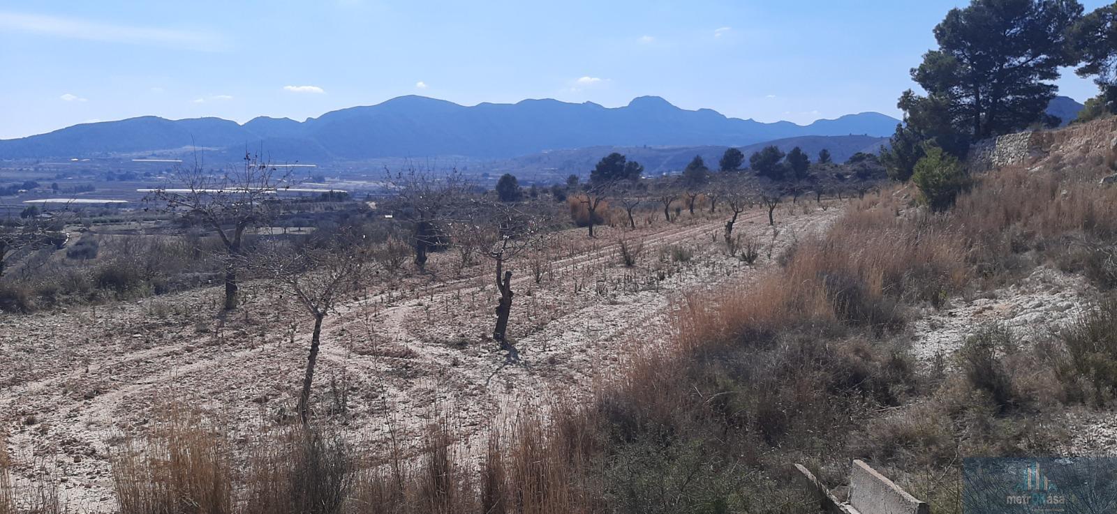 Venta de finca rústica en La Romana
