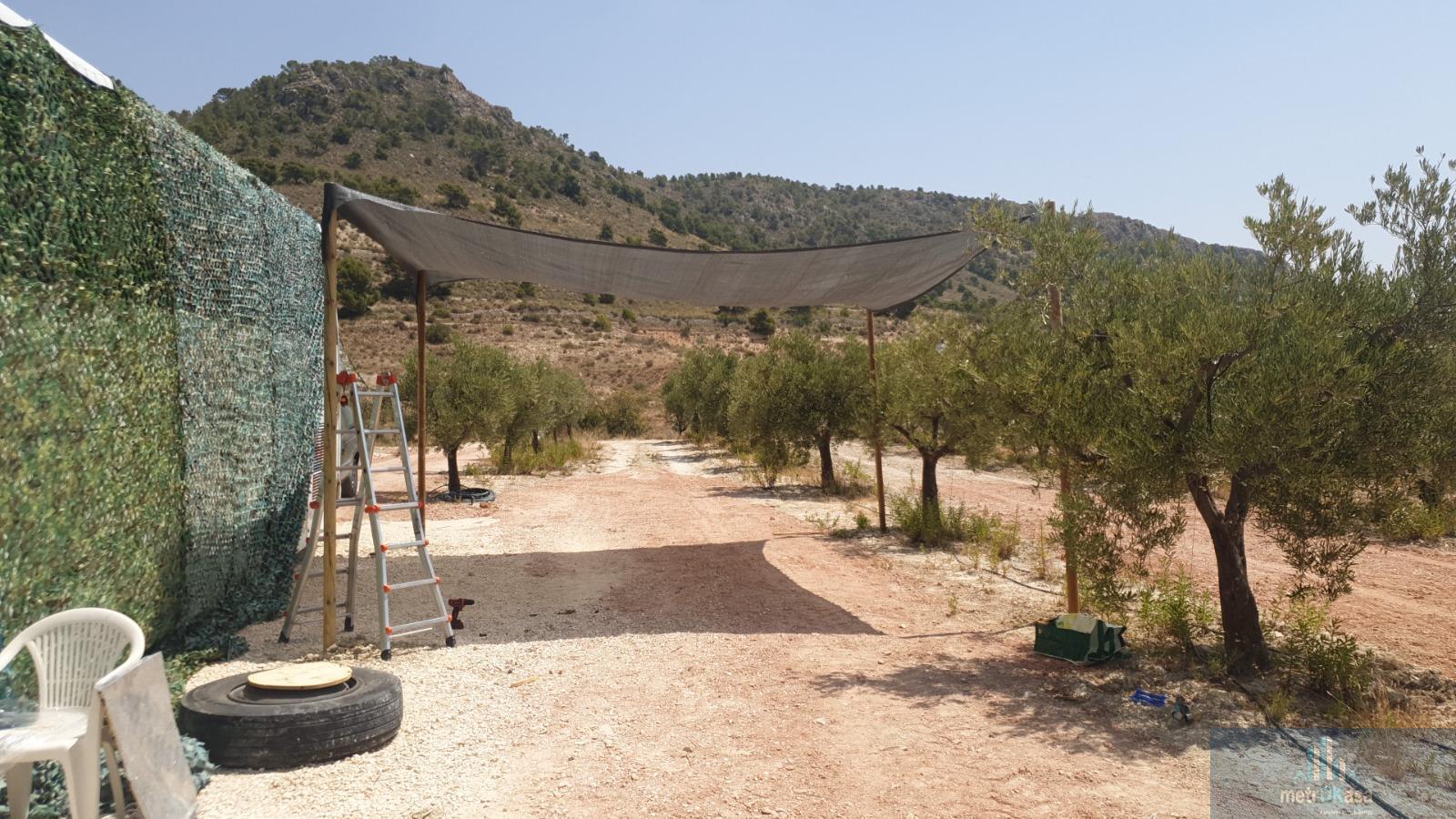 Venta de finca rústica en La Romana