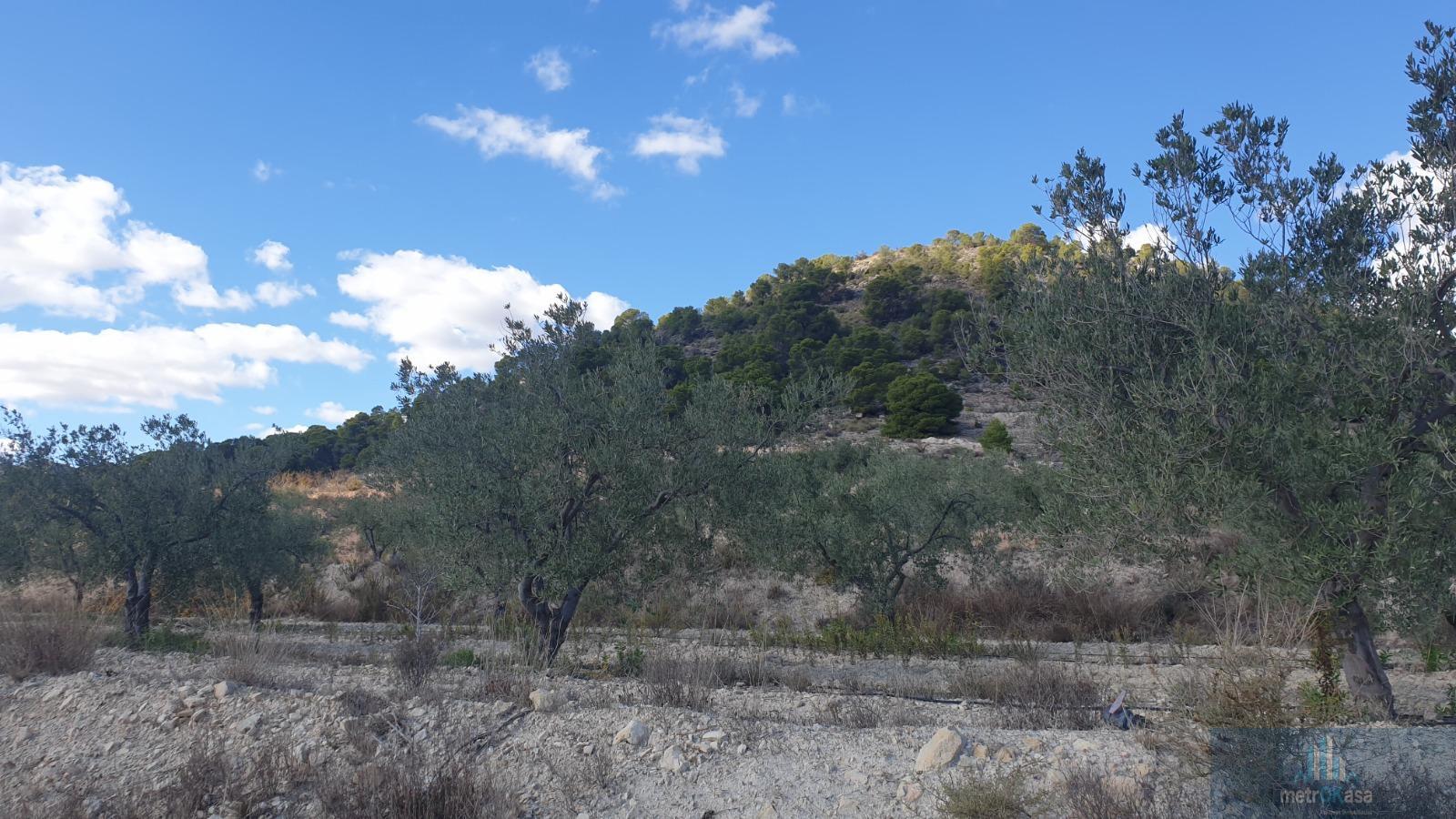 Venta de finca rústica en La Romana