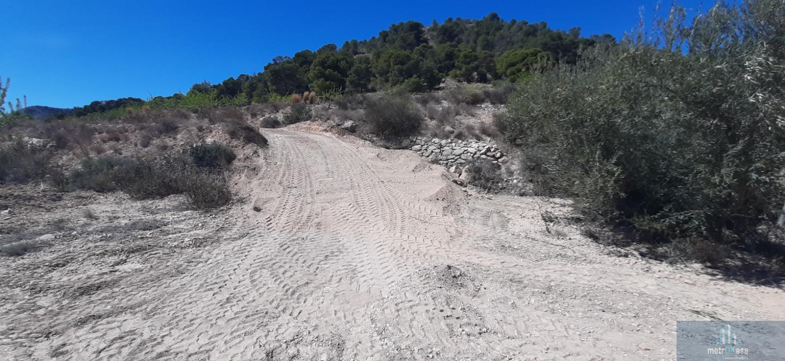 Venta de finca rústica en La Romana