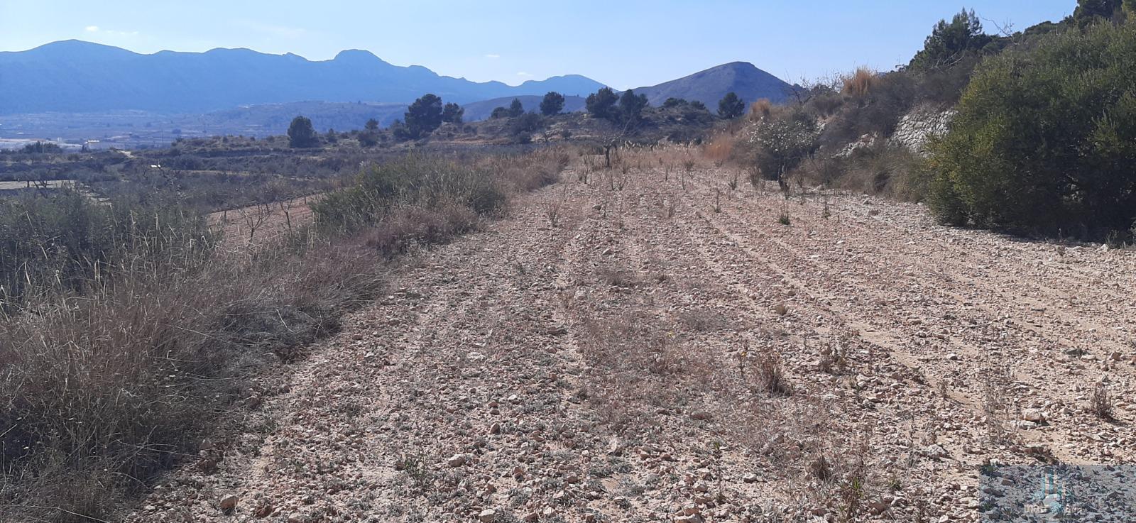 Venta de finca rústica en La Romana