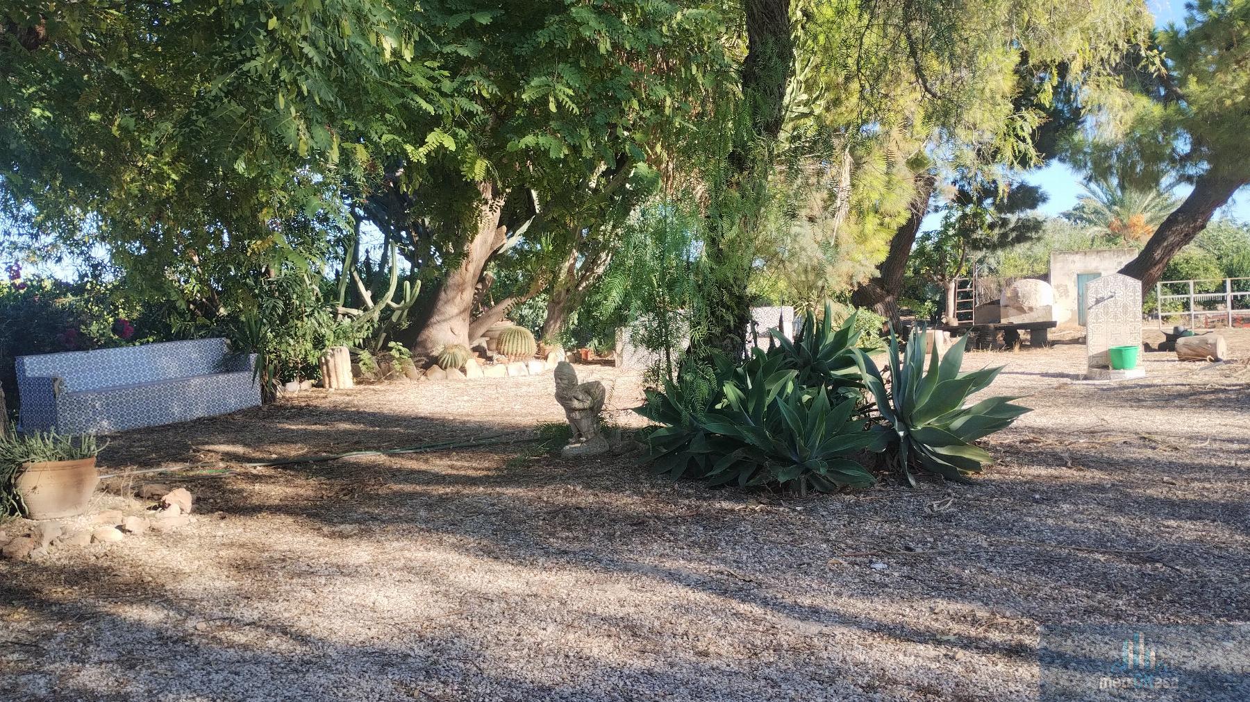 Venta de chalet en Elche-Elx