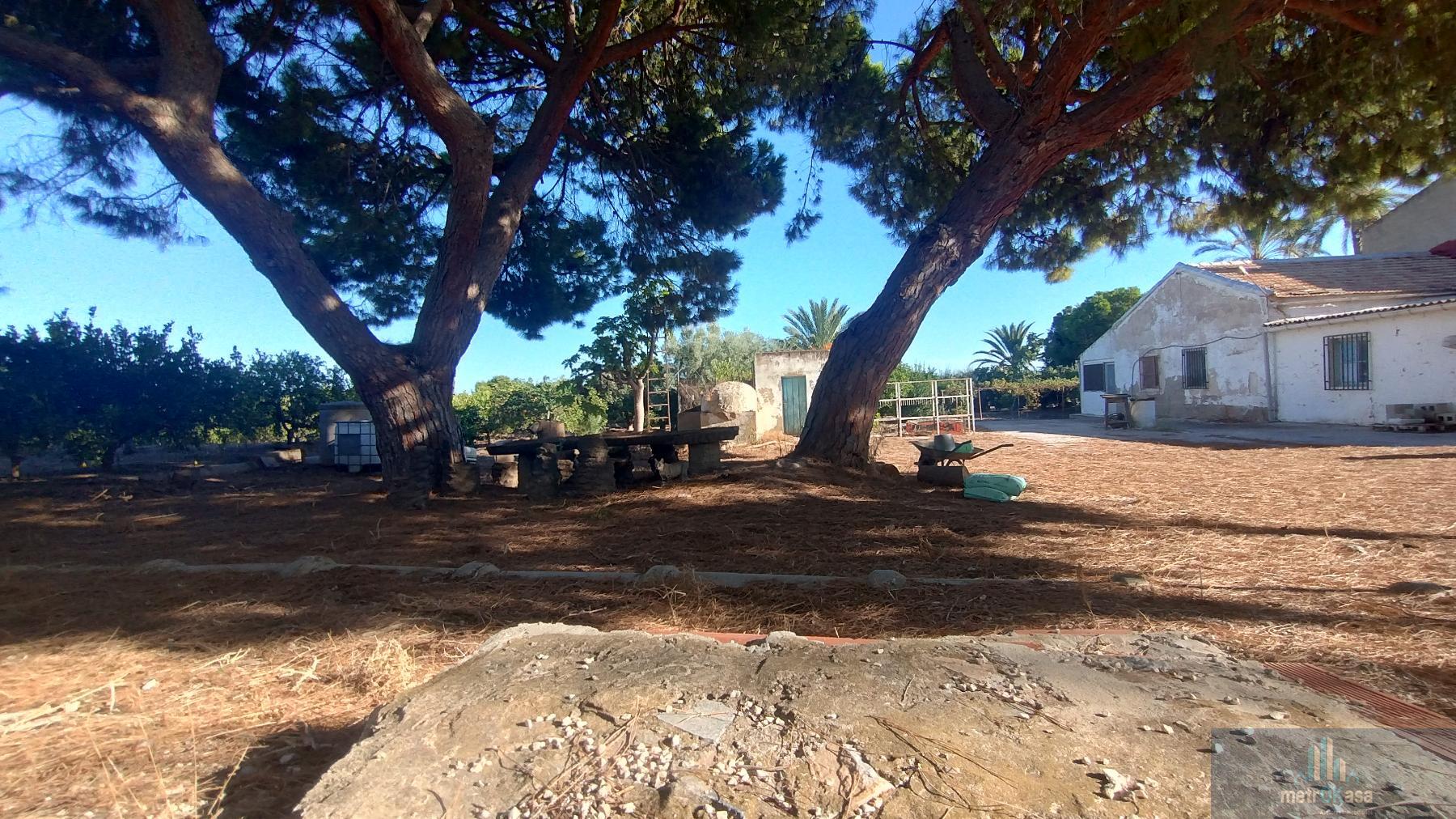 Venta de chalet en Elche-Elx