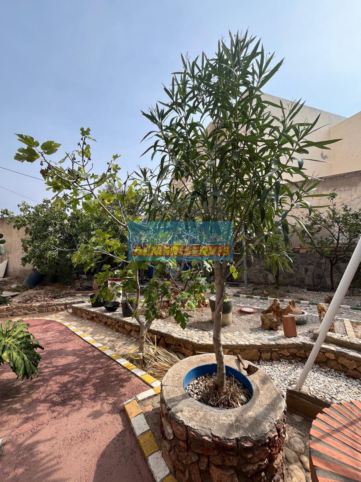 Jardín