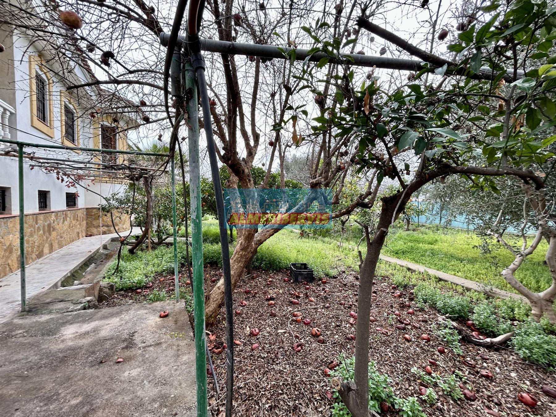 Jardin