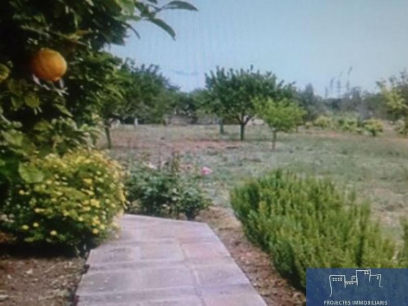 For sale of rural property in Palma de Mallorca