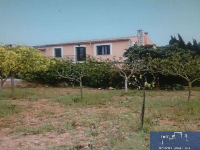 For sale of rural property in Palma de Mallorca