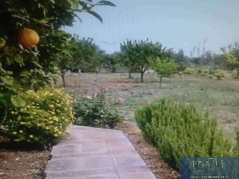 For sale of rural property in Palma de Mallorca