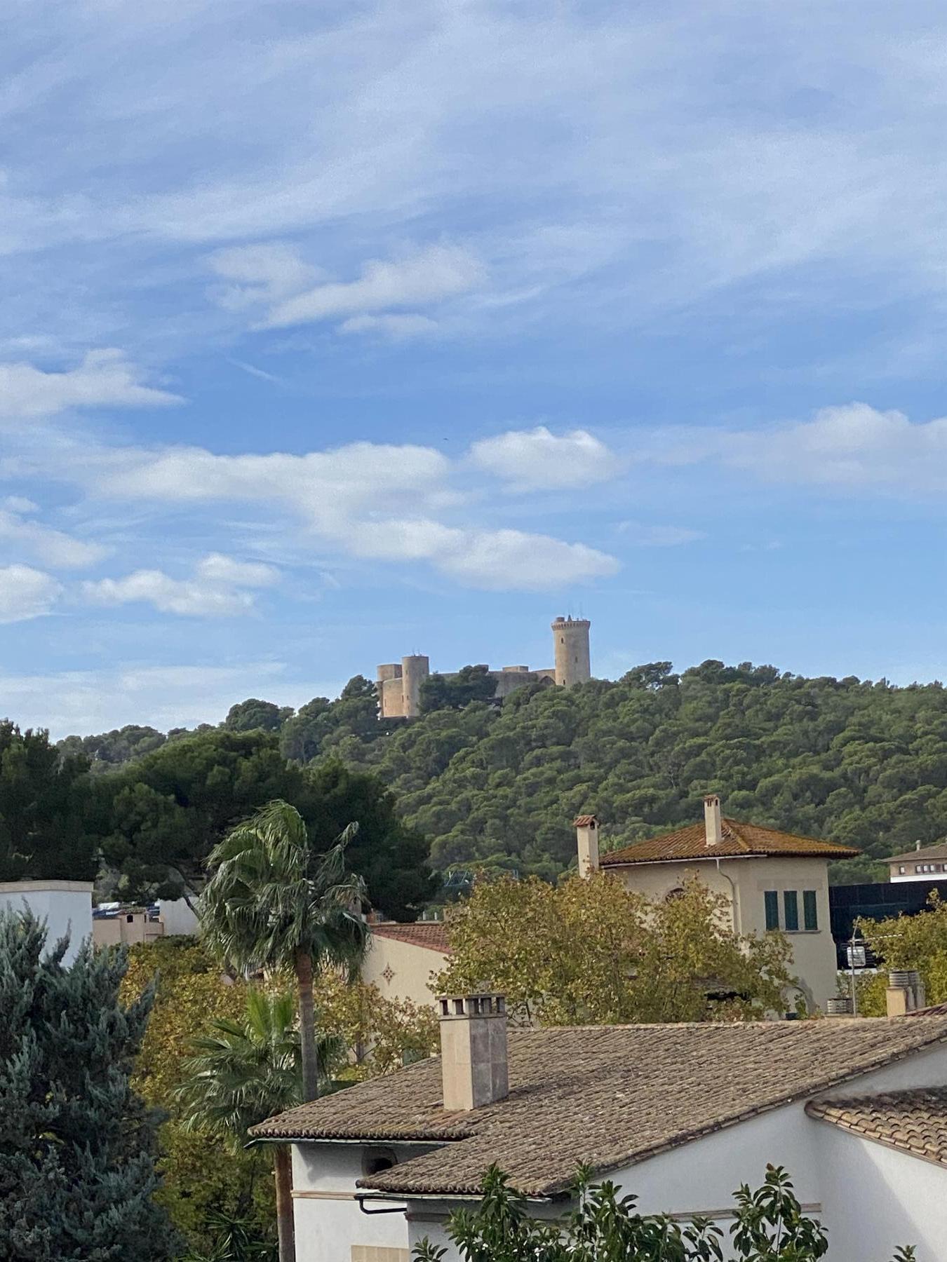 Vistas Vistas