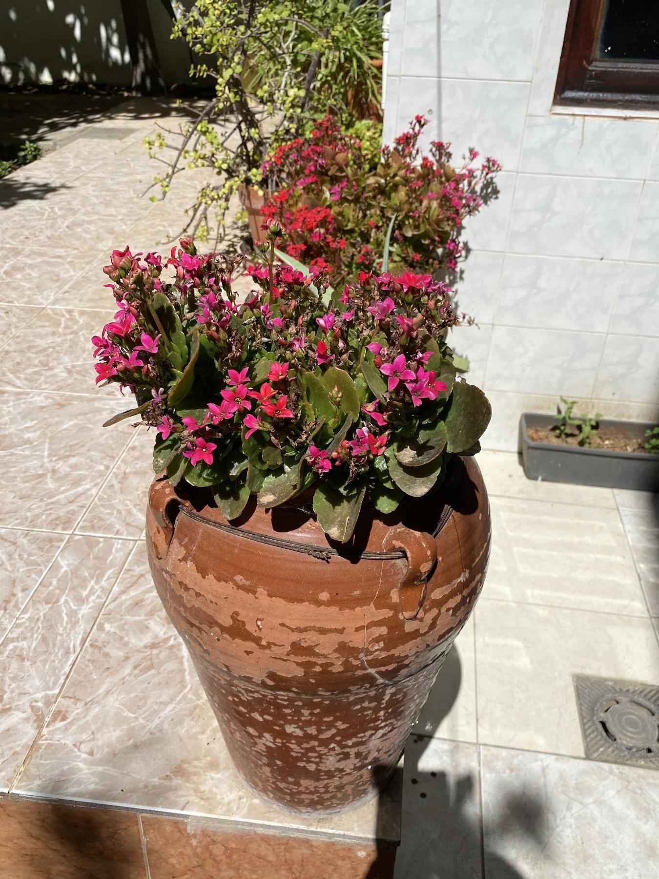 For sale of flat in Palma de Mallorca