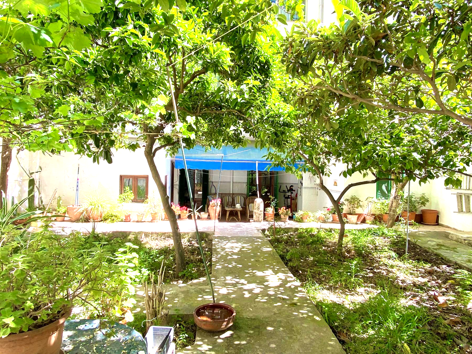 Garden
