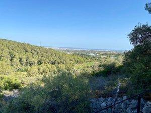 Vistas