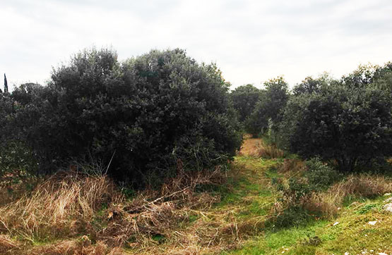 Venta de terreno en San Román de los Montes