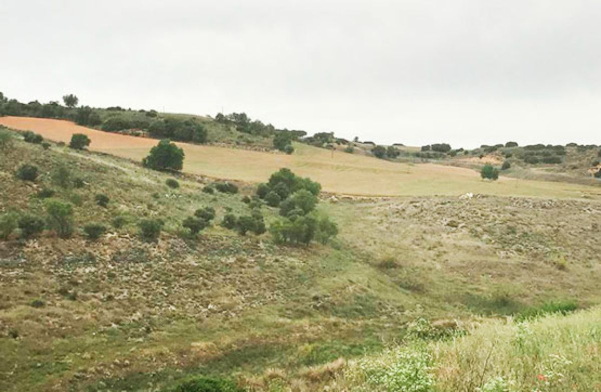 Venta de terreno en Corpa