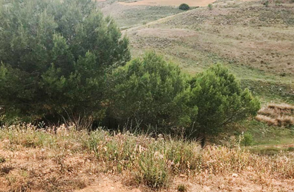 Venta de terreno en Corpa