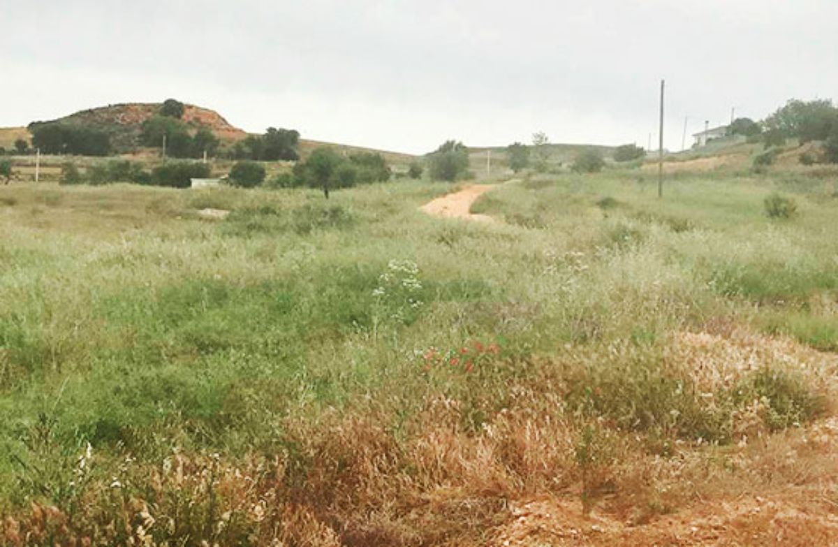 Venta de terreno en Corpa