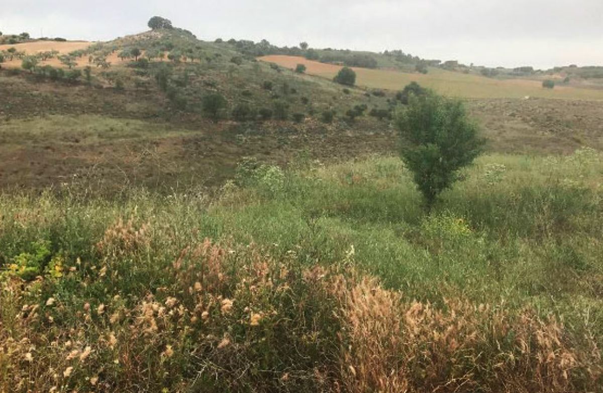 Venta de terreno en Corpa