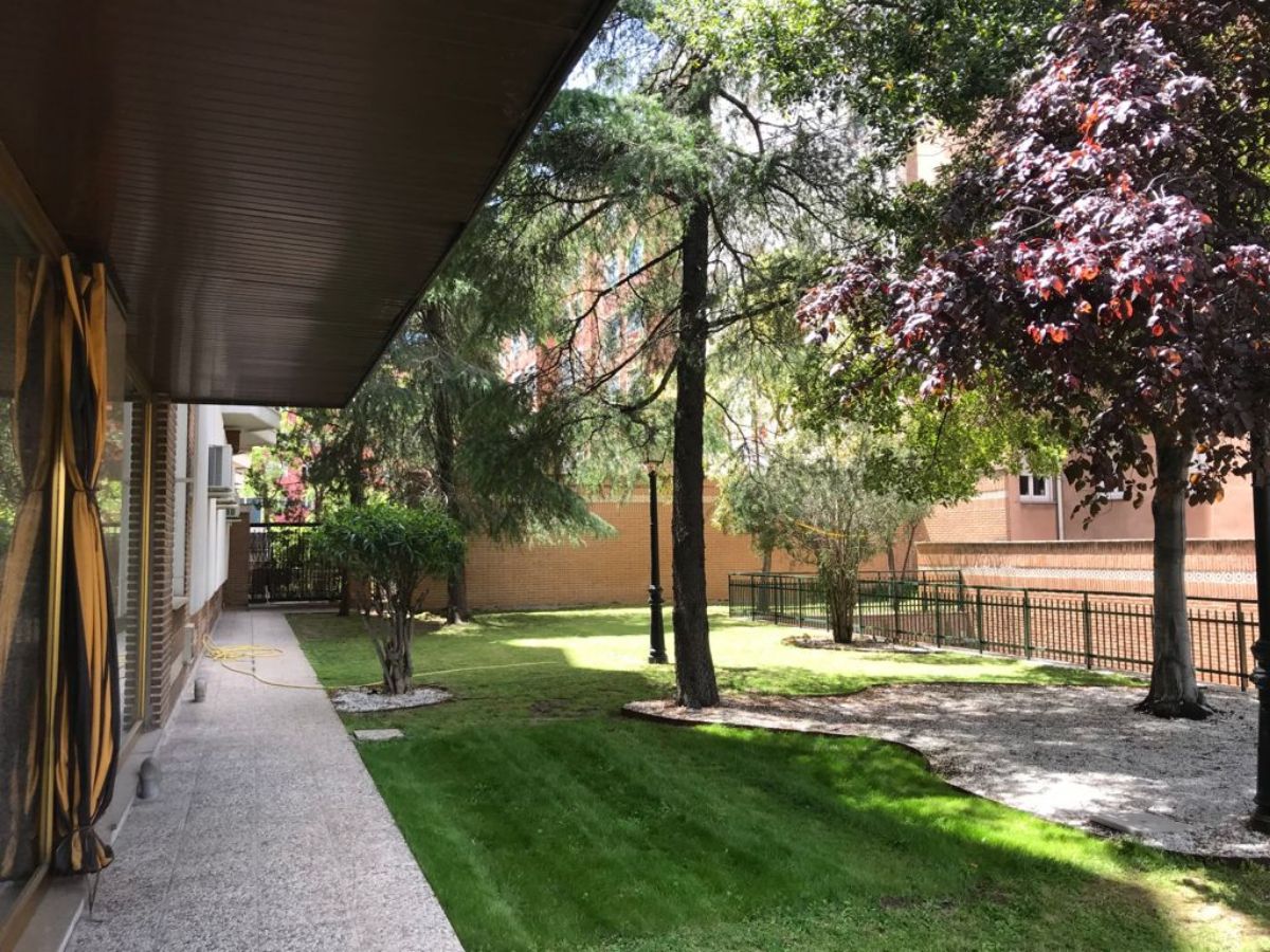 Jardín