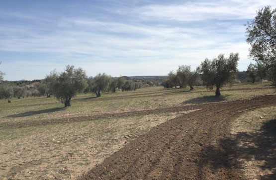 Venta de terreno en Villamuelas